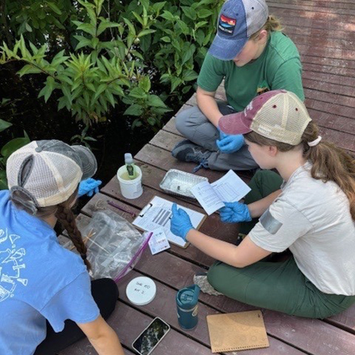Participants water testing on boardwalk